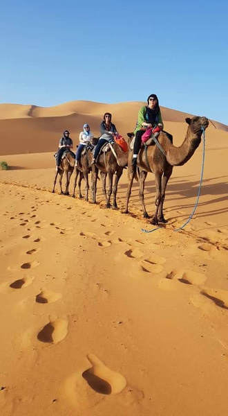 Morocco: Camel rides