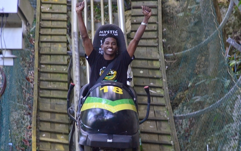 Jamaica: Tree tops above the Mystic Mountain