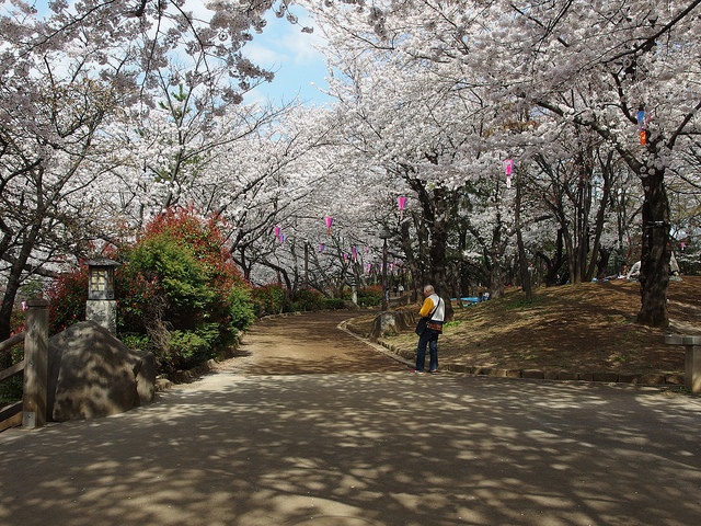 Asukayama Park