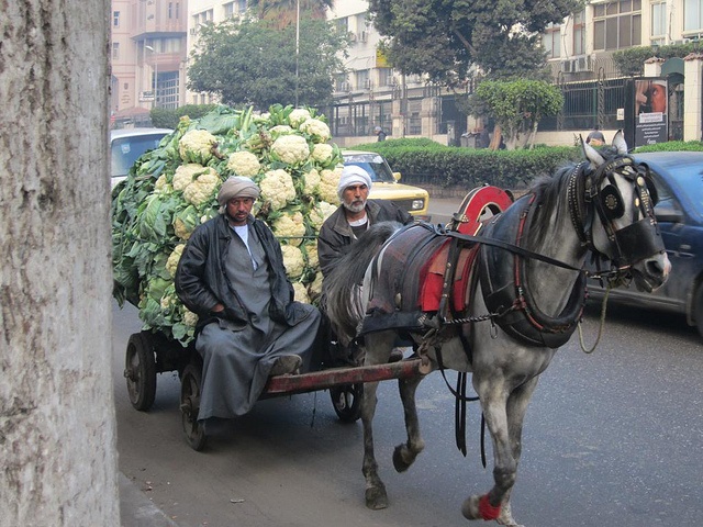 Rural Tradition; Cairo,Egypt