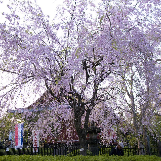 Ueno Onshi Park