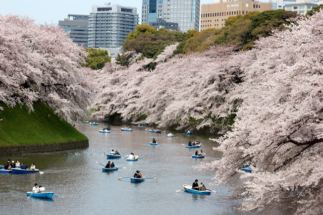 Chidorigafuchi Park