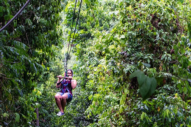 Jamaica: Zip line