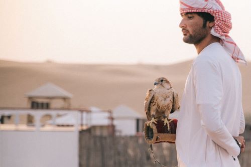 Emirati man with falcon