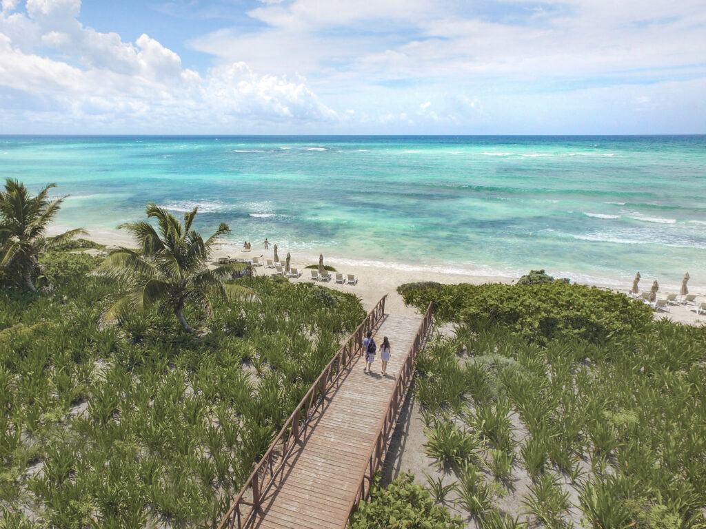 Aerial view of vegetation-lined walkway from UNICO to the beach